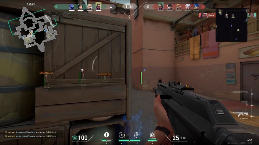 valorant streamproof overlay screenshot 6